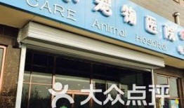 保定宠物店爆料视频大全,揭露行业黑幕与温馨瞬间